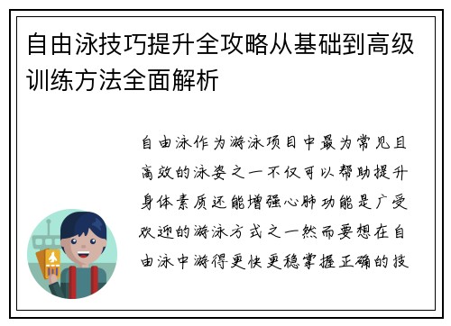自由泳技巧提升全攻略从基础到高级训练方法全面解析